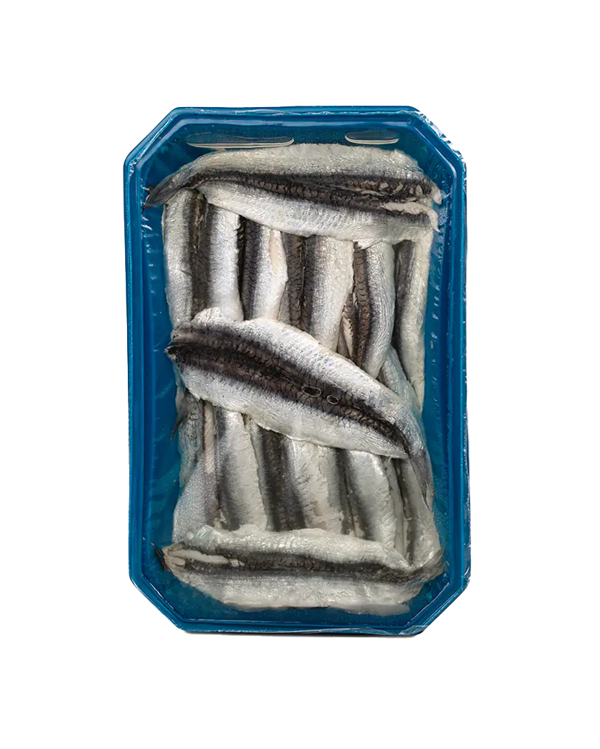 Imagen de producto: Boquerones del Cantábrico de Costera en Aceite de Girasol Tarrina 700 g